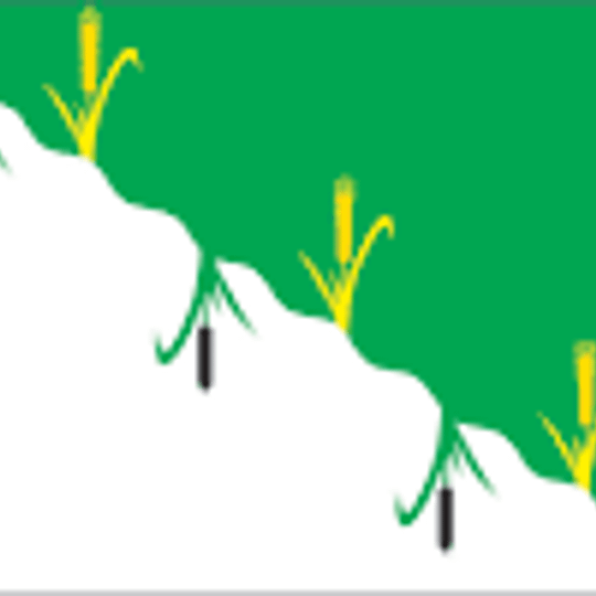 Сельское поселение Заболотьевское