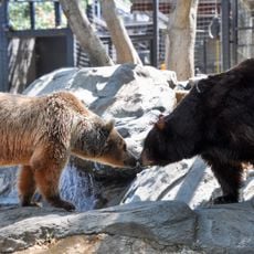 Folsom City Zoo Sanctuary