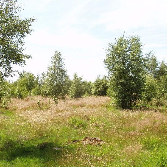 Stoke Common