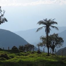Tamá National Natural Park