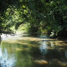 Riserva naturale speciale della Garzaia di Villarboit