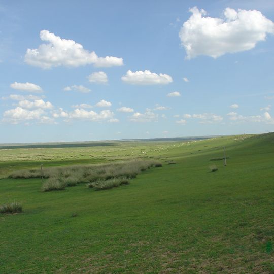 Mongolian-Manchurian grassland