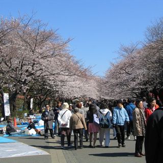 Parco di Ueno