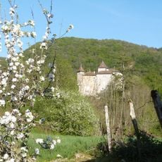 Château de Coiselet