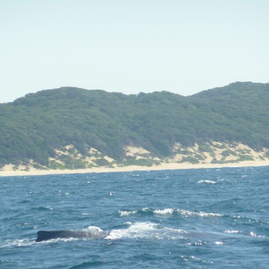 Sodwana Bay