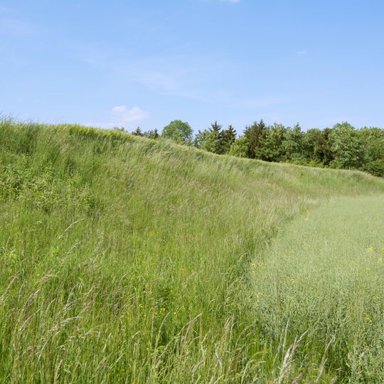 Niederterrassenböschung in Traun