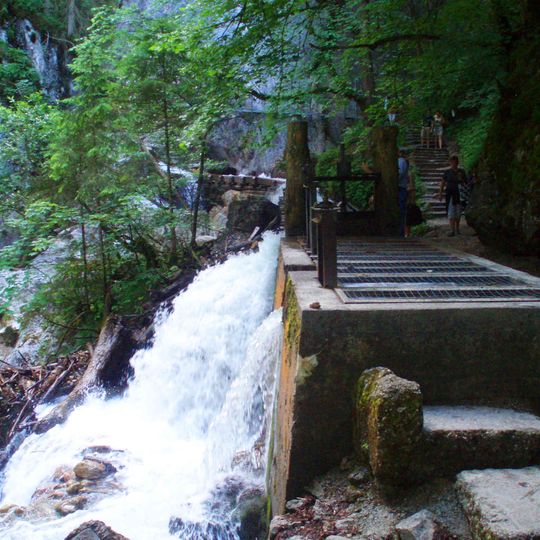 Profil in der Pöllat-Schlucht E von Hohenschwangau