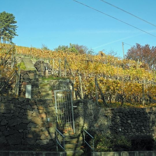 Weinberg zwischen Weinbergstraße und Gnomenstieg