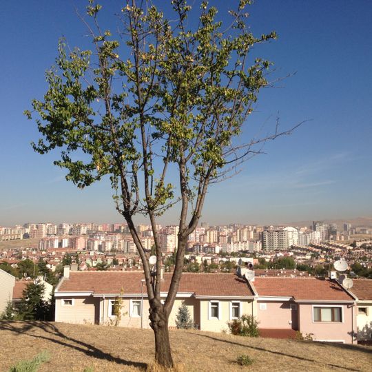 Batıkent