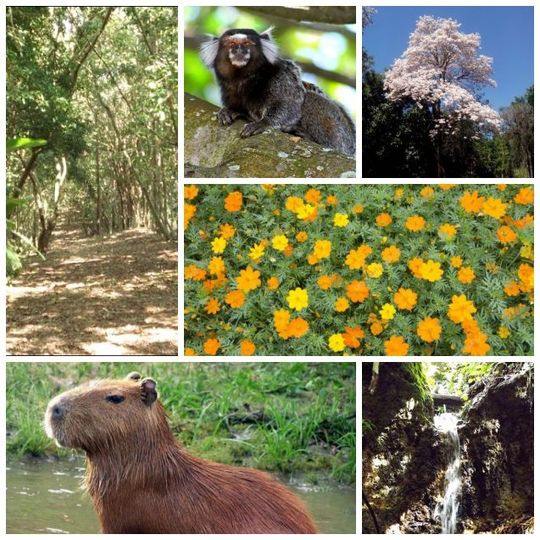 Parque Ecológico São Sebastião
