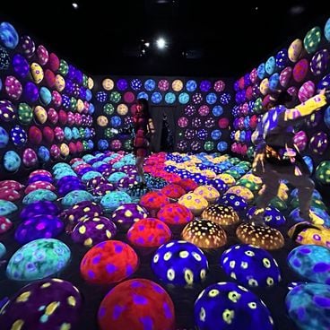 Attractions in Japan: theme parks, interactive museums and family discoveries