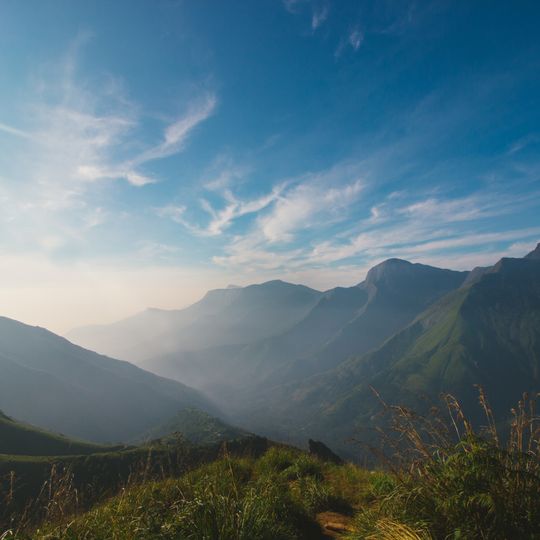 Parque nacional de Pambadum Shola