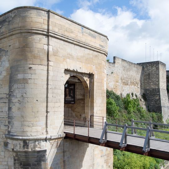 Barbacane de la porte Saint-Pierre