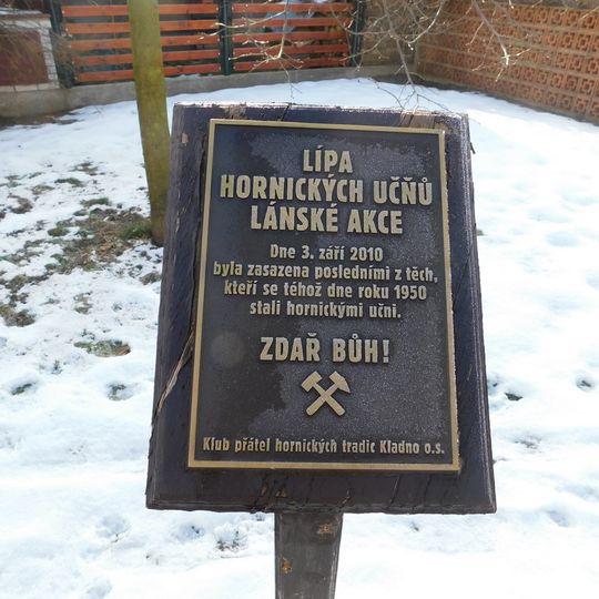 Lípa hornických učnů Lánské akce v Lánech