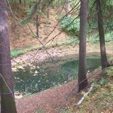 Villa Renault, Komarovo