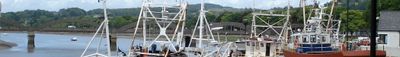 Panoramic View 1
