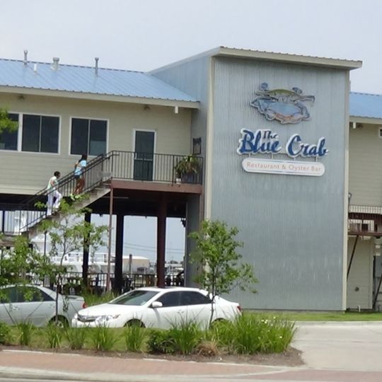 The Blue Crab