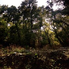 Kalesar National Park