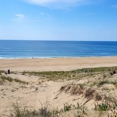 La Lette Blanche - Vielle