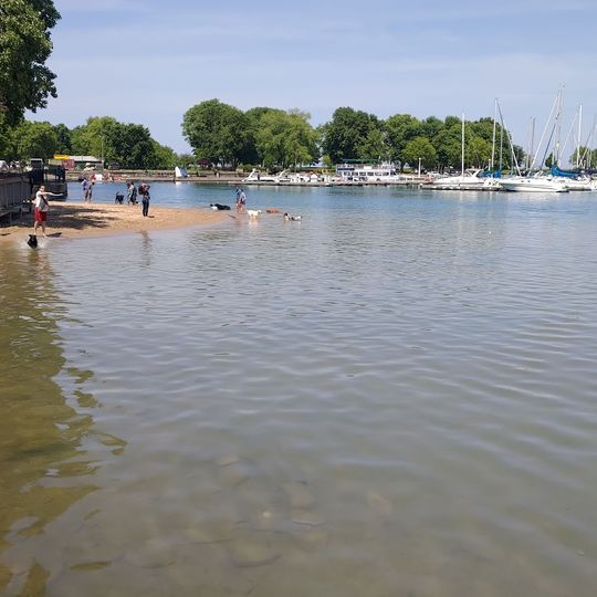 Belmont Harbor Dog Beach