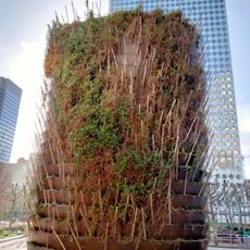 Cheminée végétale