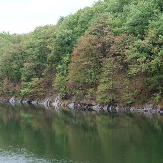 NSG Ostufer des Obersees mit Felshaengen