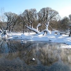 Пруды (Извара)