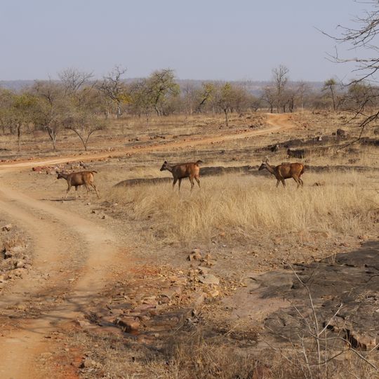 Parco nazionale di Panna