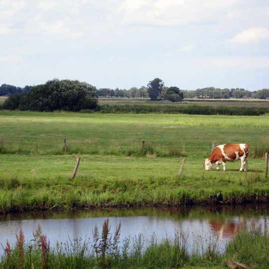 Blockland - Burgdammer Wiesen