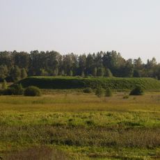 Мсцібаўскае гарадзішча