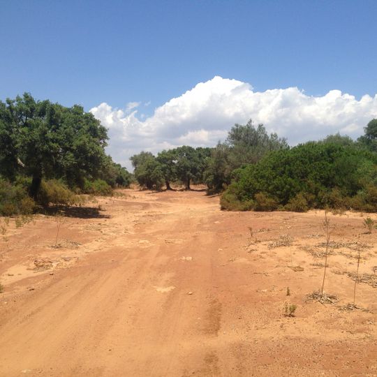 Riserva naturale orientata Bosco di Santo Pietro