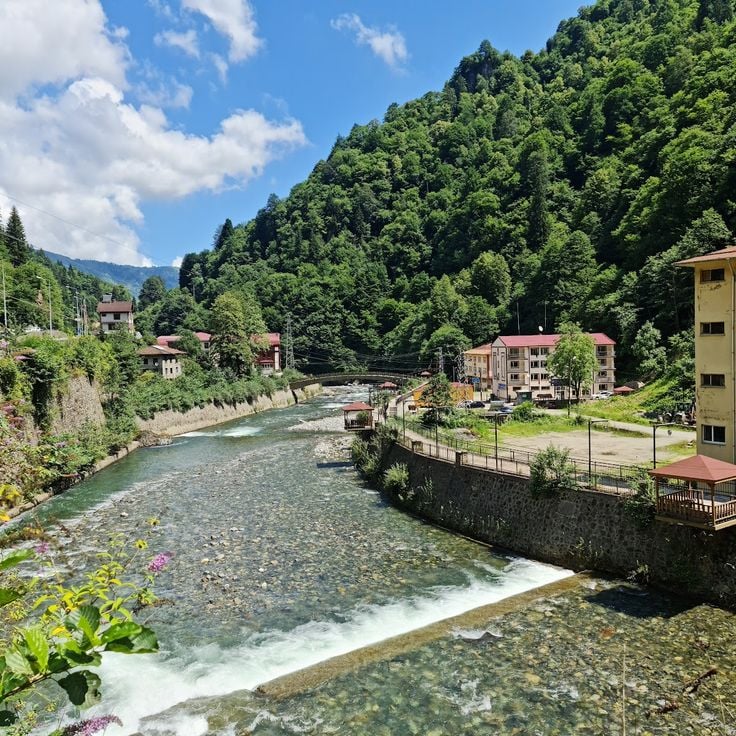 Çamlıhemşin