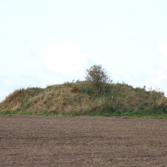 Ramshögarna, Ramms högar