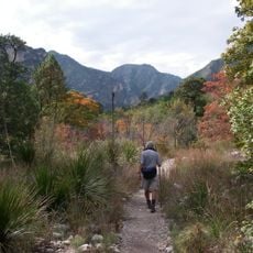 McKittrick Canyon