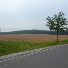 Langer Berg (Calvörde)