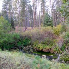 Metolius Springs