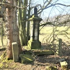 Kříž v remízu na pastvině jihovýchodně od Libouchce