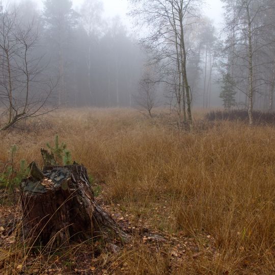 Schwarzes Moor bei Resse