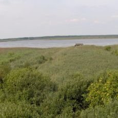 Świdwie