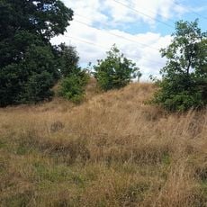 Roman Ridge: section 300yds (270m) long N of Birchwood (E of Chemical Cottages)