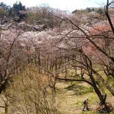 Takiyama Prefectural Natural Park