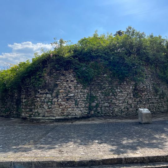 Tour médiévale de La Queue-en-Brie