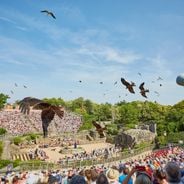 Le Bal des Oiseaux Fantômes