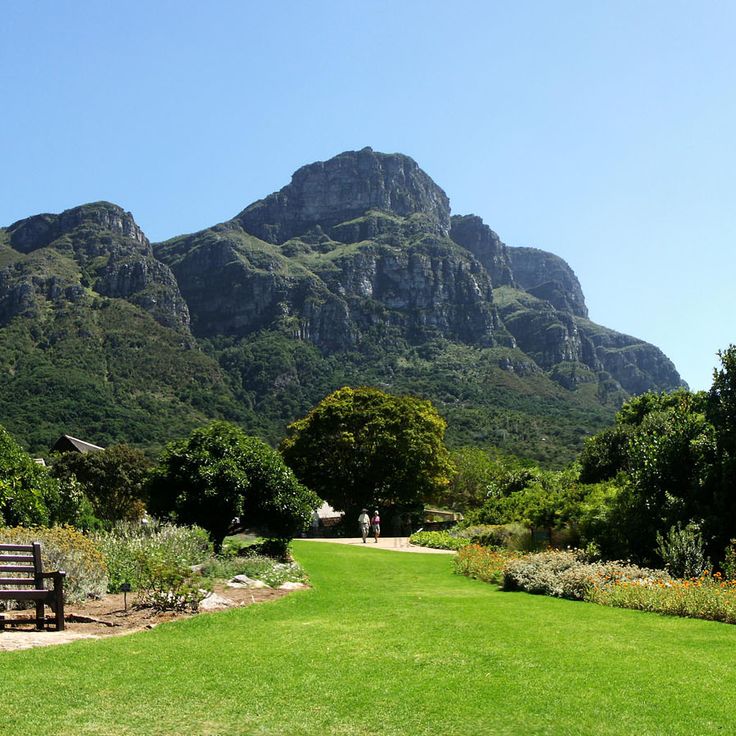 Ogród Botaniczny Kirstenbosch