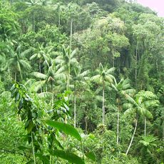 Parque nacional de Itatiaia