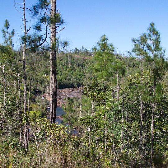 Riserva forestale del monte Pine Ridge