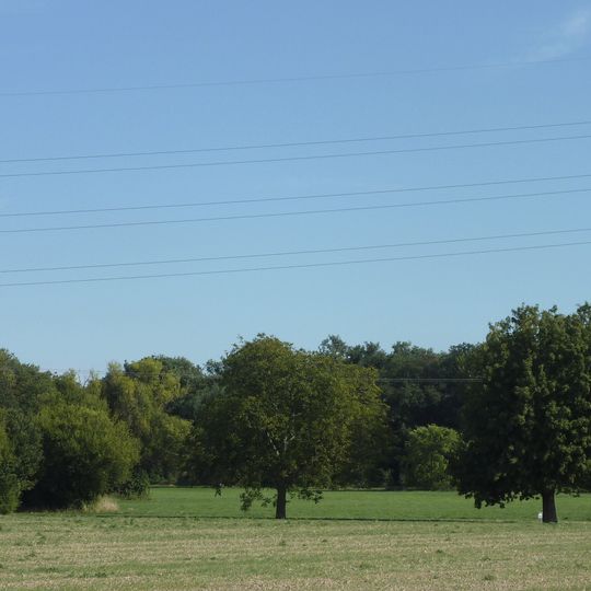 Sossenheimer Unterfeld