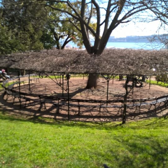 Jardim 9 de Abril