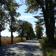 Aleja dojazdowa , XVIII/XIX