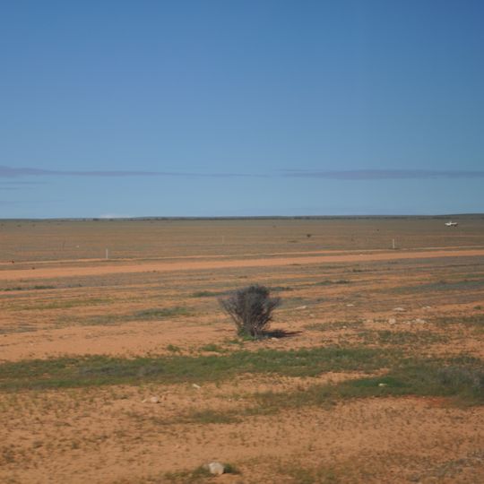 Nullabor Plain